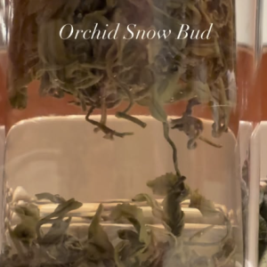 screenshot 2026 02 14 at 12.13.29 pm