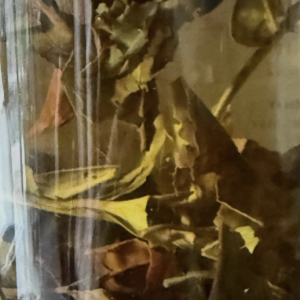 screenshot 2026 03 07 at 10.42.20 am