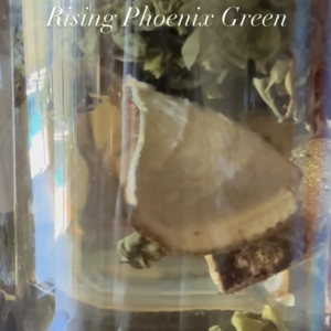 screenshot 2026 04 05 at 6.31.44 am